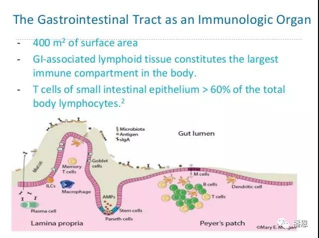 FUN88��������(�й���)�ٷ���վ