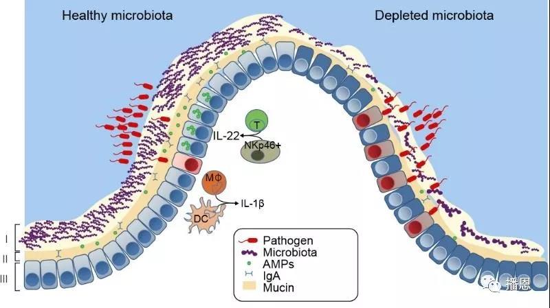 FUN88��������(�й���)�ٷ���վ