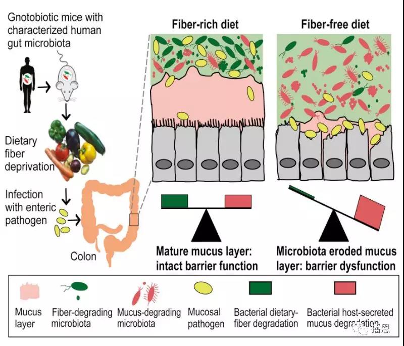 FUN88��������(�й���)�ٷ���վ