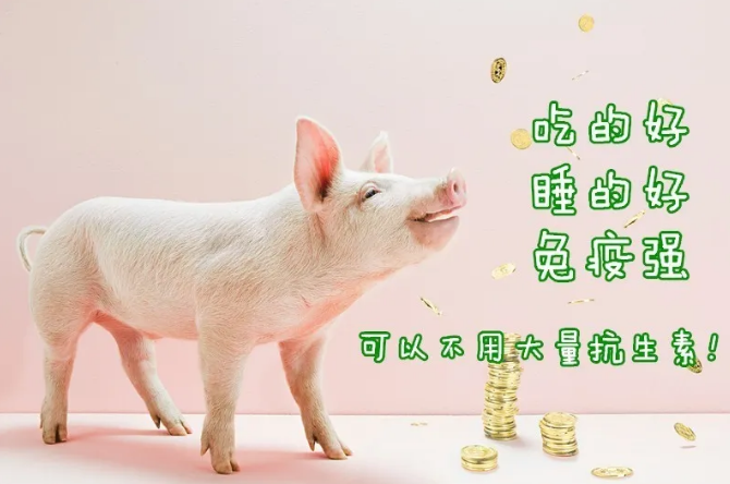 FUN88��������(�й���)�ٷ���վ