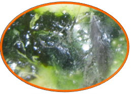 FUN88��������(�й���)�ٷ���վ