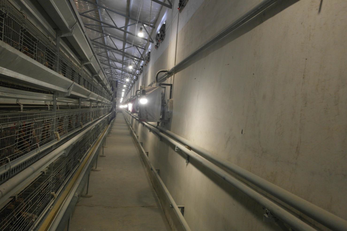 FUN88��������(�й���)�ٷ���վ