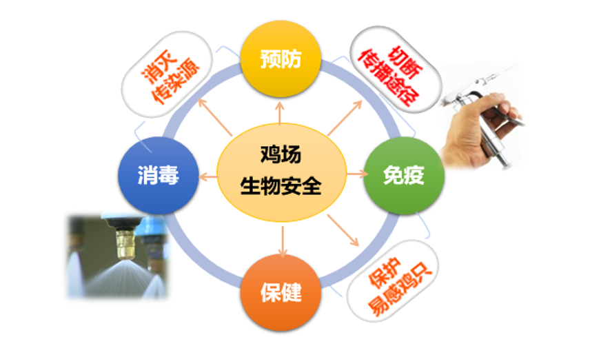 FUN88��������(�й���)�ٷ���վ