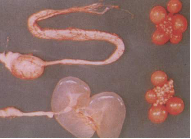 FUN88��������(�й���)�ٷ���վ