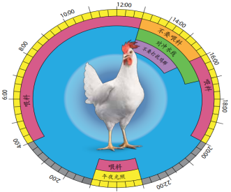 FUN88��������(�й���)�ٷ���վ