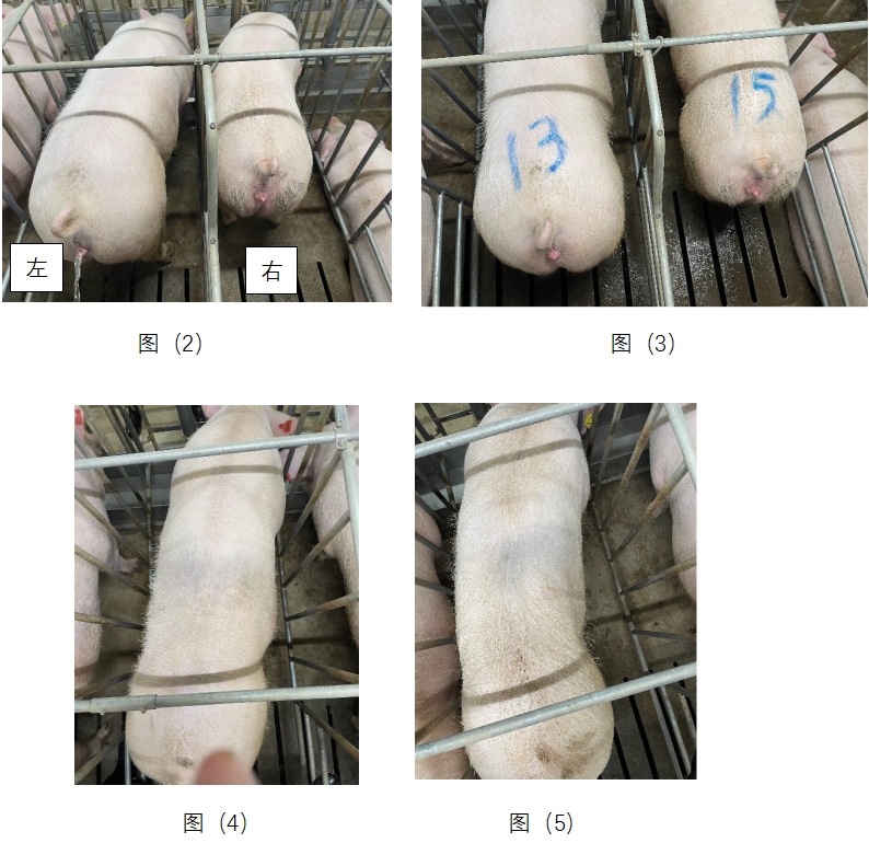 FUN88��������(�й���)�ٷ���վ